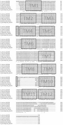 Transcript Analysis of Zebrafish GLUT3 Genes, slc2a3a and slc2a3b, Define Overlapping as Well as Distinct Expression Domains in the Zebrafish (Danio rerio) Central Nervous System